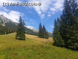 [P50] Creasta Piatra Craiului » foto by robert
 - 
<span class="allrVoted glyphicon glyphicon-heart hidden" id="av1183147"></span>
<a class="m-l-10 hidden" id="sv1183147" onclick="voting_Foto_DelVot(,1183147,5764)" role="button">șterge vot <span class="glyphicon glyphicon-remove"></span></a>
<a id="v91183147" class=" c-red"  onclick="voting_Foto_SetVot(1183147)" role="button"><span class="glyphicon glyphicon-heart-empty"></span> <b>LIKE</b> = Votează poza</a> <img class="hidden"  id="f1183147W9" src="/imagini/loader.gif" border="0" /><span class="AjErrMes hidden" id="e1183147ErM"></span>