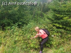 [P53] la zmeuriș » foto by robert
 - 
<span class="allrVoted glyphicon glyphicon-heart hidden" id="av1183150"></span>
<a class="m-l-10 hidden" id="sv1183150" onclick="voting_Foto_DelVot(,1183150,5764)" role="button">șterge vot <span class="glyphicon glyphicon-remove"></span></a>
<a id="v91183150" class=" c-red"  onclick="voting_Foto_SetVot(1183150)" role="button"><span class="glyphicon glyphicon-heart-empty"></span> <b>LIKE</b> = Votează poza</a> <img class="hidden"  id="f1183150W9" src="/imagini/loader.gif" border="0" /><span class="AjErrMes hidden" id="e1183150ErM"></span>