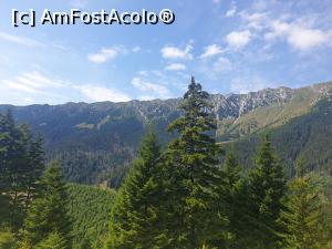 [P57] Creasta Piatra Craiului » foto by robert
 - 
<span class="allrVoted glyphicon glyphicon-heart hidden" id="av1183154"></span>
<a class="m-l-10 hidden" id="sv1183154" onclick="voting_Foto_DelVot(,1183154,5764)" role="button">șterge vot <span class="glyphicon glyphicon-remove"></span></a>
<a id="v91183154" class=" c-red"  onclick="voting_Foto_SetVot(1183154)" role="button"><span class="glyphicon glyphicon-heart-empty"></span> <b>LIKE</b> = Votează poza</a> <img class="hidden"  id="f1183154W9" src="/imagini/loader.gif" border="0" /><span class="AjErrMes hidden" id="e1183154ErM"></span>