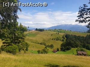 [P59] satul Măgura » foto by robert
 - 
<span class="allrVoted glyphicon glyphicon-heart hidden" id="av1183156"></span>
<a class="m-l-10 hidden" id="sv1183156" onclick="voting_Foto_DelVot(,1183156,5764)" role="button">șterge vot <span class="glyphicon glyphicon-remove"></span></a>
<a id="v91183156" class=" c-red"  onclick="voting_Foto_SetVot(1183156)" role="button"><span class="glyphicon glyphicon-heart-empty"></span> <b>LIKE</b> = Votează poza</a> <img class="hidden"  id="f1183156W9" src="/imagini/loader.gif" border="0" /><span class="AjErrMes hidden" id="e1183156ErM"></span>