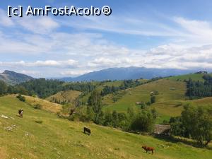 [P63] sate de poveste » foto by robert
 - 
<span class="allrVoted glyphicon glyphicon-heart hidden" id="av1183160"></span>
<a class="m-l-10 hidden" id="sv1183160" onclick="voting_Foto_DelVot(,1183160,5764)" role="button">șterge vot <span class="glyphicon glyphicon-remove"></span></a>
<a id="v91183160" class=" c-red"  onclick="voting_Foto_SetVot(1183160)" role="button"><span class="glyphicon glyphicon-heart-empty"></span> <b>LIKE</b> = Votează poza</a> <img class="hidden"  id="f1183160W9" src="/imagini/loader.gif" border="0" /><span class="AjErrMes hidden" id="e1183160ErM"></span>