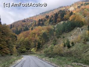 [P10] drumul catre Fantana lui Botorog » foto by Dan&Ema
 - 
<span class="allrVoted glyphicon glyphicon-heart hidden" id="av1201808"></span>
<a class="m-l-10 hidden" id="sv1201808" onclick="voting_Foto_DelVot(,1201808,5764)" role="button">șterge vot <span class="glyphicon glyphicon-remove"></span></a>
<a id="v91201808" class=" c-red"  onclick="voting_Foto_SetVot(1201808)" role="button"><span class="glyphicon glyphicon-heart-empty"></span> <b>LIKE</b> = Votează poza</a> <img class="hidden"  id="f1201808W9" src="/imagini/loader.gif" border="0" /><span class="AjErrMes hidden" id="e1201808ErM"></span>