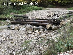 [P15] valea seaca a Prapastiilor » foto by Dan&Ema
 - 
<span class="allrVoted glyphicon glyphicon-heart hidden" id="av1201813"></span>
<a class="m-l-10 hidden" id="sv1201813" onclick="voting_Foto_DelVot(,1201813,5764)" role="button">șterge vot <span class="glyphicon glyphicon-remove"></span></a>
<a id="v91201813" class=" c-red"  onclick="voting_Foto_SetVot(1201813)" role="button"><span class="glyphicon glyphicon-heart-empty"></span> <b>LIKE</b> = Votează poza</a> <img class="hidden"  id="f1201813W9" src="/imagini/loader.gif" border="0" /><span class="AjErrMes hidden" id="e1201813ErM"></span>