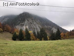 [P41] Prapastiile Zarnestilor vazute din Magura » foto by Dan&Ema
 - 
<span class="allrVoted glyphicon glyphicon-heart hidden" id="av1201839"></span>
<a class="m-l-10 hidden" id="sv1201839" onclick="voting_Foto_DelVot(,1201839,5764)" role="button">șterge vot <span class="glyphicon glyphicon-remove"></span></a>
<a id="v91201839" class=" c-red"  onclick="voting_Foto_SetVot(1201839)" role="button"><span class="glyphicon glyphicon-heart-empty"></span> <b>LIKE</b> = Votează poza</a> <img class="hidden"  id="f1201839W9" src="/imagini/loader.gif" border="0" /><span class="AjErrMes hidden" id="e1201839ErM"></span>