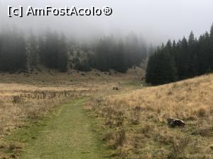 [P44] Saua Joaca » foto by Dan&Ema
 - 
<span class="allrVoted glyphicon glyphicon-heart hidden" id="av1201842"></span>
<a class="m-l-10 hidden" id="sv1201842" onclick="voting_Foto_DelVot(,1201842,5764)" role="button">șterge vot <span class="glyphicon glyphicon-remove"></span></a>
<a id="v91201842" class=" c-red"  onclick="voting_Foto_SetVot(1201842)" role="button"><span class="glyphicon glyphicon-heart-empty"></span> <b>LIKE</b> = Votează poza</a> <img class="hidden"  id="f1201842W9" src="/imagini/loader.gif" border="0" /><span class="AjErrMes hidden" id="e1201842ErM"></span>