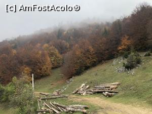 [P47] un peisaj care imi place » foto by Dan&Ema
 - 
<span class="allrVoted glyphicon glyphicon-heart hidden" id="av1201845"></span>
<a class="m-l-10 hidden" id="sv1201845" onclick="voting_Foto_DelVot(,1201845,5764)" role="button">șterge vot <span class="glyphicon glyphicon-remove"></span></a>
<a id="v91201845" class=" c-red"  onclick="voting_Foto_SetVot(1201845)" role="button"><span class="glyphicon glyphicon-heart-empty"></span> <b>LIKE</b> = Votează poza</a> <img class="hidden"  id="f1201845W9" src="/imagini/loader.gif" border="0" /><span class="AjErrMes hidden" id="e1201845ErM"></span>