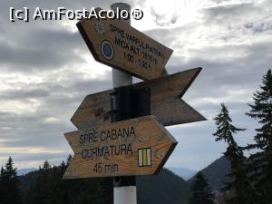 [P12] noi mai avem 45 minute pana la cabana » foto by Dan&Ema
 - 
<span class="allrVoted glyphicon glyphicon-heart hidden" id="av1024717"></span>
<a class="m-l-10 hidden" id="sv1024717" onclick="voting_Foto_DelVot(,1024717,5764)" role="button">șterge vot <span class="glyphicon glyphicon-remove"></span></a>
<a id="v91024717" class=" c-red"  onclick="voting_Foto_SetVot(1024717)" role="button"><span class="glyphicon glyphicon-heart-empty"></span> <b>LIKE</b> = Votează poza</a> <img class="hidden"  id="f1024717W9" src="/imagini/loader.gif" border="0" /><span class="AjErrMes hidden" id="e1024717ErM"></span>
