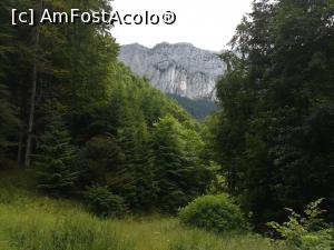 [P01] La poalele Pietrei Craiului » foto by Mika
 - 
<span class="allrVoted glyphicon glyphicon-heart hidden" id="av1173730"></span>
<a class="m-l-10 hidden" id="sv1173730" onclick="voting_Foto_DelVot(,1173730,5764)" role="button">șterge vot <span class="glyphicon glyphicon-remove"></span></a>
<a id="v91173730" class=" c-red"  onclick="voting_Foto_SetVot(1173730)" role="button"><span class="glyphicon glyphicon-heart-empty"></span> <b>LIKE</b> = Votează poza</a> <img class="hidden"  id="f1173730W9" src="/imagini/loader.gif" border="0" /><span class="AjErrMes hidden" id="e1173730ErM"></span>
