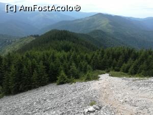 [P15] Aruncă o privire in urmă, spre Munții Iezer-Păpușa » foto by Mika
 - 
<span class="allrVoted glyphicon glyphicon-heart hidden" id="av1173744"></span>
<a class="m-l-10 hidden" id="sv1173744" onclick="voting_Foto_DelVot(,1173744,5764)" role="button">șterge vot <span class="glyphicon glyphicon-remove"></span></a>
<a id="v91173744" class=" c-red"  onclick="voting_Foto_SetVot(1173744)" role="button"><span class="glyphicon glyphicon-heart-empty"></span> <b>LIKE</b> = Votează poza</a> <img class="hidden"  id="f1173744W9" src="/imagini/loader.gif" border="0" /><span class="AjErrMes hidden" id="e1173744ErM"></span>