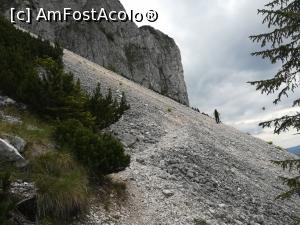 [P17] Marele Grohotiș » foto by Mika
 - 
<span class="allrVoted glyphicon glyphicon-heart hidden" id="av1173746"></span>
<a class="m-l-10 hidden" id="sv1173746" onclick="voting_Foto_DelVot(,1173746,5764)" role="button">șterge vot <span class="glyphicon glyphicon-remove"></span></a>
<a id="v91173746" class=" c-red"  onclick="voting_Foto_SetVot(1173746)" role="button"><span class="glyphicon glyphicon-heart-empty"></span> <b>LIKE</b> = Votează poza</a> <img class="hidden"  id="f1173746W9" src="/imagini/loader.gif" border="0" /><span class="AjErrMes hidden" id="e1173746ErM"></span>