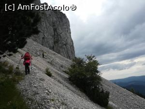 [P18] Marele Grohotiș » foto by Mika
 - 
<span class="allrVoted glyphicon glyphicon-heart hidden" id="av1173747"></span>
<a class="m-l-10 hidden" id="sv1173747" onclick="voting_Foto_DelVot(,1173747,5764)" role="button">șterge vot <span class="glyphicon glyphicon-remove"></span></a>
<a id="v91173747" class=" c-red"  onclick="voting_Foto_SetVot(1173747)" role="button"><span class="glyphicon glyphicon-heart-empty"></span> <b>LIKE</b> = Votează poza</a> <img class="hidden"  id="f1173747W9" src="/imagini/loader.gif" border="0" /><span class="AjErrMes hidden" id="e1173747ErM"></span>