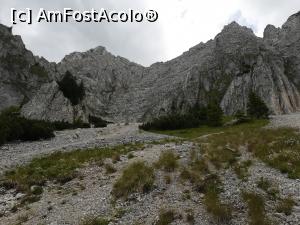 [P19] Spre Cerdacul Stanciului » foto by Mika
 - 
<span class="allrVoted glyphicon glyphicon-heart hidden" id="av1173748"></span>
<a class="m-l-10 hidden" id="sv1173748" onclick="voting_Foto_DelVot(,1173748,5764)" role="button">șterge vot <span class="glyphicon glyphicon-remove"></span></a>
<a id="v91173748" class=" c-red"  onclick="voting_Foto_SetVot(1173748)" role="button"><span class="glyphicon glyphicon-heart-empty"></span> <b>LIKE</b> = Votează poza</a> <img class="hidden"  id="f1173748W9" src="/imagini/loader.gif" border="0" /><span class="AjErrMes hidden" id="e1173748ErM"></span>