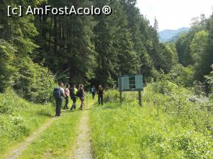 [P02] Spre Cabana Garofița Pietrei Craiului » foto by Mika
 - 
<span class="allrVoted glyphicon glyphicon-heart hidden" id="av1173731"></span>
<a class="m-l-10 hidden" id="sv1173731" onclick="voting_Foto_DelVot(,1173731,5764)" role="button">șterge vot <span class="glyphicon glyphicon-remove"></span></a>
<a id="v91173731" class=" c-red"  onclick="voting_Foto_SetVot(1173731)" role="button"><span class="glyphicon glyphicon-heart-empty"></span> <b>LIKE</b> = Votează poza</a> <img class="hidden"  id="f1173731W9" src="/imagini/loader.gif" border="0" /><span class="AjErrMes hidden" id="e1173731ErM"></span>