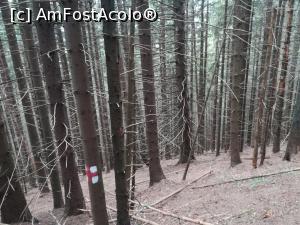 [P30] O pădure ciudată, cu copaci golași » foto by Mika
 - 
<span class="allrVoted glyphicon glyphicon-heart hidden" id="av1173759"></span>
<a class="m-l-10 hidden" id="sv1173759" onclick="voting_Foto_DelVot(,1173759,5764)" role="button">șterge vot <span class="glyphicon glyphicon-remove"></span></a>
<a id="v91173759" class=" c-red"  onclick="voting_Foto_SetVot(1173759)" role="button"><span class="glyphicon glyphicon-heart-empty"></span> <b>LIKE</b> = Votează poza</a> <img class="hidden"  id="f1173759W9" src="/imagini/loader.gif" border="0" /><span class="AjErrMes hidden" id="e1173759ErM"></span>