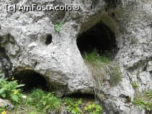 [P51] O grotă prin st&acirc;nci » foto by Mika
 - 
<span class="allrVoted glyphicon glyphicon-heart hidden" id="av1173780"></span>
<a class="m-l-10 hidden" id="sv1173780" onclick="voting_Foto_DelVot(,1173780,5764)" role="button">șterge vot <span class="glyphicon glyphicon-remove"></span></a>
<a id="v91173780" class=" c-red"  onclick="voting_Foto_SetVot(1173780)" role="button"><span class="glyphicon glyphicon-heart-empty"></span> <b>LIKE</b> = Votează poza</a> <img class="hidden"  id="f1173780W9" src="/imagini/loader.gif" border="0" /><span class="AjErrMes hidden" id="e1173780ErM"></span>