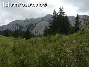 [P06] Poiana Tămășel » foto by Mika
 - 
<span class="allrVoted glyphicon glyphicon-heart hidden" id="av1173735"></span>
<a class="m-l-10 hidden" id="sv1173735" onclick="voting_Foto_DelVot(,1173735,5764)" role="button">șterge vot <span class="glyphicon glyphicon-remove"></span></a>
<a id="v91173735" class=" c-red"  onclick="voting_Foto_SetVot(1173735)" role="button"><span class="glyphicon glyphicon-heart-empty"></span> <b>LIKE</b> = Votează poza</a> <img class="hidden"  id="f1173735W9" src="/imagini/loader.gif" border="0" /><span class="AjErrMes hidden" id="e1173735ErM"></span>