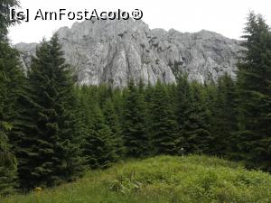 [P09] Spre Umerii Pietrei Craiului » foto by Mika
 - 
<span class="allrVoted glyphicon glyphicon-heart hidden" id="av1173738"></span>
<a class="m-l-10 hidden" id="sv1173738" onclick="voting_Foto_DelVot(,1173738,5764)" role="button">șterge vot <span class="glyphicon glyphicon-remove"></span></a>
<a id="v91173738" class=" c-red"  onclick="voting_Foto_SetVot(1173738)" role="button"><span class="glyphicon glyphicon-heart-empty"></span> <b>LIKE</b> = Votează poza</a> <img class="hidden"  id="f1173738W9" src="/imagini/loader.gif" border="0" /><span class="AjErrMes hidden" id="e1173738ErM"></span>