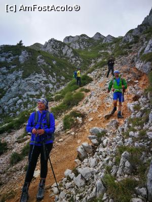 [P58] Cobor&acirc;m! » foto by Mika
 - 
<span class="allrVoted glyphicon glyphicon-heart hidden" id="av1185053"></span>
<a class="m-l-10 hidden" id="sv1185053" onclick="voting_Foto_DelVot(,1185053,5764)" role="button">șterge vot <span class="glyphicon glyphicon-remove"></span></a>
<a id="v91185053" class=" c-red"  onclick="voting_Foto_SetVot(1185053)" role="button"><span class="glyphicon glyphicon-heart-empty"></span> <b>LIKE</b> = Votează poza</a> <img class="hidden"  id="f1185053W9" src="/imagini/loader.gif" border="0" /><span class="AjErrMes hidden" id="e1185053ErM"></span>