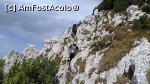 [P18] Pe Br&acirc;ul Cioranga Mare » foto by Mika
 - 
<span class="allrVoted glyphicon glyphicon-heart hidden" id="av1195031"></span>
<a class="m-l-10 hidden" id="sv1195031" onclick="voting_Foto_DelVot(,1195031,5764)" role="button">șterge vot <span class="glyphicon glyphicon-remove"></span></a>
<a id="v91195031" class=" c-red"  onclick="voting_Foto_SetVot(1195031)" role="button"><span class="glyphicon glyphicon-heart-empty"></span> <b>LIKE</b> = Votează poza</a> <img class="hidden"  id="f1195031W9" src="/imagini/loader.gif" border="0" /><span class="AjErrMes hidden" id="e1195031ErM"></span>