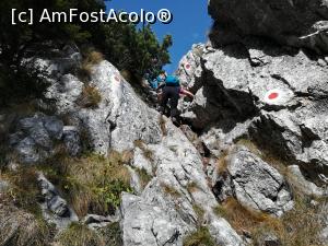 [P40]  -- <small>// FĂRĂ DESCRIERE</small> » foto by Mika
 - 
<span class="allrVoted glyphicon glyphicon-heart hidden" id="av1195053"></span>
<a class="m-l-10 hidden" id="sv1195053" onclick="voting_Foto_DelVot(,1195053,5764)" role="button">șterge vot <span class="glyphicon glyphicon-remove"></span></a>
<a id="v91195053" class=" c-red"  onclick="voting_Foto_SetVot(1195053)" role="button"><span class="glyphicon glyphicon-heart-empty"></span> <b>LIKE</b> = Votează poza</a> <img class="hidden"  id="f1195053W9" src="/imagini/loader.gif" border="0" /><span class="AjErrMes hidden" id="e1195053ErM"></span>