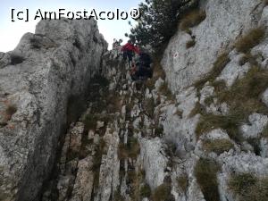 [P41] Prțiuni grele de descățărare » foto by Mika
 - 
<span class="allrVoted glyphicon glyphicon-heart hidden" id="av1195054"></span>
<a class="m-l-10 hidden" id="sv1195054" onclick="voting_Foto_DelVot(,1195054,5764)" role="button">șterge vot <span class="glyphicon glyphicon-remove"></span></a>
<a id="v91195054" class=" c-red"  onclick="voting_Foto_SetVot(1195054)" role="button"><span class="glyphicon glyphicon-heart-empty"></span> <b>LIKE</b> = Votează poza</a> <img class="hidden"  id="f1195054W9" src="/imagini/loader.gif" border="0" /><span class="AjErrMes hidden" id="e1195054ErM"></span>