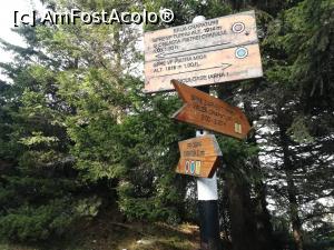 [P43] Am ajuns in șaua Crăpăturii » foto by Mika
 - 
<span class="allrVoted glyphicon glyphicon-heart hidden" id="av1195056"></span>
<a class="m-l-10 hidden" id="sv1195056" onclick="voting_Foto_DelVot(,1195056,5764)" role="button">șterge vot <span class="glyphicon glyphicon-remove"></span></a>
<a id="v91195056" class=" c-red"  onclick="voting_Foto_SetVot(1195056)" role="button"><span class="glyphicon glyphicon-heart-empty"></span> <b>LIKE</b> = Votează poza</a> <img class="hidden"  id="f1195056W9" src="/imagini/loader.gif" border="0" /><span class="AjErrMes hidden" id="e1195056ErM"></span>