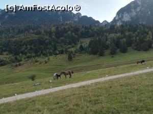 [P46] Acolo sus, in plan central este Șaua Crăpăturii de unde am cobor&acirc;t. A fost greu dar a meritat! » foto by Mika
 - 
<span class="allrVoted glyphicon glyphicon-heart hidden" id="av1195059"></span>
<a class="m-l-10 hidden" id="sv1195059" onclick="voting_Foto_DelVot(,1195059,5764)" role="button">șterge vot <span class="glyphicon glyphicon-remove"></span></a>
<a id="v91195059" class=" c-red"  onclick="voting_Foto_SetVot(1195059)" role="button"><span class="glyphicon glyphicon-heart-empty"></span> <b>LIKE</b> = Votează poza</a> <img class="hidden"  id="f1195059W9" src="/imagini/loader.gif" border="0" /><span class="AjErrMes hidden" id="e1195059ErM"></span>