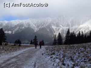 [P06] Primele imagini ale Pietrei Craiului nu arătau prea incurajator » foto by Mika
 - 
<span class="allrVoted glyphicon glyphicon-heart hidden" id="av1267881"></span>
<a class="m-l-10 hidden" id="sv1267881" onclick="voting_Foto_DelVot(,1267881,5764)" role="button">șterge vot <span class="glyphicon glyphicon-remove"></span></a>
<a id="v91267881" class=" c-red"  onclick="voting_Foto_SetVot(1267881)" role="button"><span class="glyphicon glyphicon-heart-empty"></span> <b>LIKE</b> = Votează poza</a> <img class="hidden"  id="f1267881W9" src="/imagini/loader.gif" border="0" /><span class="AjErrMes hidden" id="e1267881ErM"></span>