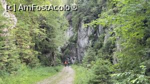 [P31] Prin Prăpastiile Zarnestilor » foto by Mika
 - 
<span class="allrVoted glyphicon glyphicon-heart hidden" id="av1508298"></span>
<a class="m-l-10 hidden" id="sv1508298" onclick="voting_Foto_DelVot(,1508298,5764)" role="button">șterge vot <span class="glyphicon glyphicon-remove"></span></a>
<a id="v91508298" class=" c-red"  onclick="voting_Foto_SetVot(1508298)" role="button"><span class="glyphicon glyphicon-heart-empty"></span> <b>LIKE</b> = Votează poza</a> <img class="hidden"  id="f1508298W9" src="/imagini/loader.gif" border="0" /><span class="AjErrMes hidden" id="e1508298ErM"></span>