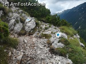 [P18] Urmărin bulina albastră » foto by Mika
 - 
<span class="allrVoted glyphicon glyphicon-heart hidden" id="av1090865"></span>
<a class="m-l-10 hidden" id="sv1090865" onclick="voting_Foto_DelVot(,1090865,5764)" role="button">șterge vot <span class="glyphicon glyphicon-remove"></span></a>
<a id="v91090865" class=" c-red"  onclick="voting_Foto_SetVot(1090865)" role="button"><span class="glyphicon glyphicon-heart-empty"></span> <b>LIKE</b> = Votează poza</a> <img class="hidden"  id="f1090865W9" src="/imagini/loader.gif" border="0" /><span class="AjErrMes hidden" id="e1090865ErM"></span>