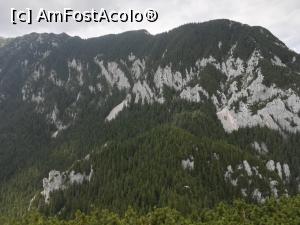 [P19] Creasta nordică cu Vârful Turnu și Vârful Ascuțit » foto by Mika
 - 
<span class="allrVoted glyphicon glyphicon-heart hidden" id="av1090866"></span>
<a class="m-l-10 hidden" id="sv1090866" onclick="voting_Foto_DelVot(,1090866,5764)" role="button">șterge vot <span class="glyphicon glyphicon-remove"></span></a>
<a id="v91090866" class=" c-red"  onclick="voting_Foto_SetVot(1090866)" role="button"><span class="glyphicon glyphicon-heart-empty"></span> <b>LIKE</b> = Votează poza</a> <img class="hidden"  id="f1090866W9" src="/imagini/loader.gif" border="0" /><span class="AjErrMes hidden" id="e1090866ErM"></span>