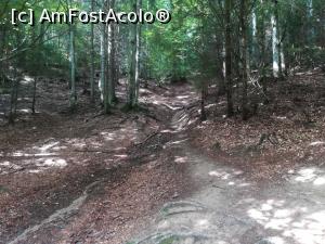 [P02] Prima parte a traseului, un urcuș prin pădure » foto by Mika
 - 
<span class="allrVoted glyphicon glyphicon-heart hidden" id="av1090848"></span>
<a class="m-l-10 hidden" id="sv1090848" onclick="voting_Foto_DelVot(,1090848,5764)" role="button">șterge vot <span class="glyphicon glyphicon-remove"></span></a>
<a id="v91090848" class=" c-red"  onclick="voting_Foto_SetVot(1090848)" role="button"><span class="glyphicon glyphicon-heart-empty"></span> <b>LIKE</b> = Votează poza</a> <img class="hidden"  id="f1090848W9" src="/imagini/loader.gif" border="0" /><span class="AjErrMes hidden" id="e1090848ErM"></span>