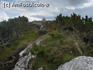[P35] Sus este Vârful Piatra Mică. Se vede momâia din pietre » foto by Mika
 - 
<span class="allrVoted glyphicon glyphicon-heart hidden" id="av1090893"></span>
<a class="m-l-10 hidden" id="sv1090893" onclick="voting_Foto_DelVot(,1090893,5764)" role="button">șterge vot <span class="glyphicon glyphicon-remove"></span></a>
<a id="v91090893" class=" c-red"  onclick="voting_Foto_SetVot(1090893)" role="button"><span class="glyphicon glyphicon-heart-empty"></span> <b>LIKE</b> = Votează poza</a> <img class="hidden"  id="f1090893W9" src="/imagini/loader.gif" border="0" /><span class="AjErrMes hidden" id="e1090893ErM"></span>