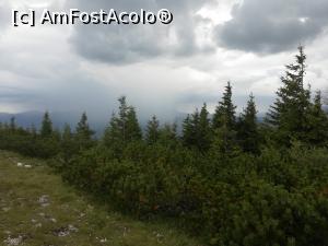 [P42] Nori negri se apropiau dinspre Bucegi » foto by Mika
 - 
<span class="allrVoted glyphicon glyphicon-heart hidden" id="av1090903"></span>
<a class="m-l-10 hidden" id="sv1090903" onclick="voting_Foto_DelVot(,1090903,5764)" role="button">șterge vot <span class="glyphicon glyphicon-remove"></span></a>
<a id="v91090903" class=" c-red"  onclick="voting_Foto_SetVot(1090903)" role="button"><span class="glyphicon glyphicon-heart-empty"></span> <b>LIKE</b> = Votează poza</a> <img class="hidden"  id="f1090903W9" src="/imagini/loader.gif" border="0" /><span class="AjErrMes hidden" id="e1090903ErM"></span>