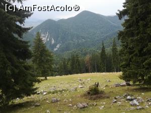 [P44] Am ajuns din nou in Poiana Zănoaga » foto by Mika
 - 
<span class="allrVoted glyphicon glyphicon-heart hidden" id="av1090907"></span>
<a class="m-l-10 hidden" id="sv1090907" onclick="voting_Foto_DelVot(,1090907,5764)" role="button">șterge vot <span class="glyphicon glyphicon-remove"></span></a>
<a id="v91090907" class=" c-red"  onclick="voting_Foto_SetVot(1090907)" role="button"><span class="glyphicon glyphicon-heart-empty"></span> <b>LIKE</b> = Votează poza</a> <img class="hidden"  id="f1090907W9" src="/imagini/loader.gif" border="0" /><span class="AjErrMes hidden" id="e1090907ErM"></span>