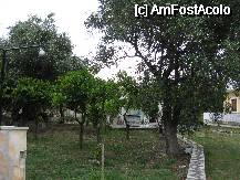 [P01] Gradina din fata vilei » foto by andranicolle*
 - 
<span class="allrVoted glyphicon glyphicon-heart hidden" id="av75338"></span>
<a class="m-l-10 hidden" id="sv75338" onclick="voting_Foto_DelVot(,75338,5769)" role="button">șterge vot <span class="glyphicon glyphicon-remove"></span></a>
<a id="v975338" class=" c-red"  onclick="voting_Foto_SetVot(75338)" role="button"><span class="glyphicon glyphicon-heart-empty"></span> <b>LIKE</b> = Votează poza</a> <img class="hidden"  id="f75338W9" src="/imagini/loader.gif" border="0" /><span class="AjErrMes hidden" id="e75338ErM"></span>
