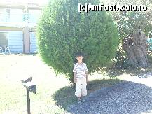 [P04]  -- <small>// FĂRĂ DESCRIERE</small> » foto by raducu_i
 - 
<span class="allrVoted glyphicon glyphicon-heart hidden" id="av191099"></span>
<a class="m-l-10 hidden" id="sv191099" onclick="voting_Foto_DelVot(,191099,5774)" role="button">șterge vot <span class="glyphicon glyphicon-remove"></span></a>
<a id="v9191099" class=" c-red"  onclick="voting_Foto_SetVot(191099)" role="button"><span class="glyphicon glyphicon-heart-empty"></span> <b>LIKE</b> = Votează poza</a> <img class="hidden"  id="f191099W9" src="/imagini/loader.gif" border="0" /><span class="AjErrMes hidden" id="e191099ErM"></span>