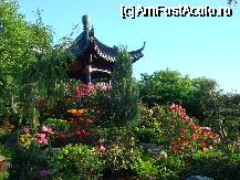 [P19] in Luisenpark » foto by Pami*
 - 
<span class="allrVoted glyphicon glyphicon-heart hidden" id="av76026"></span>
<a class="m-l-10 hidden" id="sv76026" onclick="voting_Foto_DelVot(,76026,5793)" role="button">șterge vot <span class="glyphicon glyphicon-remove"></span></a>
<a id="v976026" class=" c-red"  onclick="voting_Foto_SetVot(76026)" role="button"><span class="glyphicon glyphicon-heart-empty"></span> <b>LIKE</b> = Votează poza</a> <img class="hidden"  id="f76026W9" src="/imagini/loader.gif" border="0" /><span class="AjErrMes hidden" id="e76026ErM"></span>