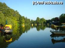 [P22] Lacul din mijlocul parcului » foto by Pami*
 - 
<span class="allrVoted glyphicon glyphicon-heart hidden" id="av76029"></span>
<a class="m-l-10 hidden" id="sv76029" onclick="voting_Foto_DelVot(,76029,5793)" role="button">șterge vot <span class="glyphicon glyphicon-remove"></span></a>
<a id="v976029" class=" c-red"  onclick="voting_Foto_SetVot(76029)" role="button"><span class="glyphicon glyphicon-heart-empty"></span> <b>LIKE</b> = Votează poza</a> <img class="hidden"  id="f76029W9" src="/imagini/loader.gif" border="0" /><span class="AjErrMes hidden" id="e76029ErM"></span>