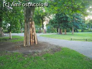 [P19] cunoaşte cineva semnificaţia împrejmuirii trunchiurilor su acele scânduri?  » foto by icata24
 - 
<span class="allrVoted glyphicon glyphicon-heart hidden" id="av1077784"></span>
<a class="m-l-10 hidden" id="sv1077784" onclick="voting_Foto_DelVot(,1077784,5798)" role="button">șterge vot <span class="glyphicon glyphicon-remove"></span></a>
<a id="v91077784" class=" c-red"  onclick="voting_Foto_SetVot(1077784)" role="button"><span class="glyphicon glyphicon-heart-empty"></span> <b>LIKE</b> = Votează poza</a> <img class="hidden"  id="f1077784W9" src="/imagini/loader.gif" border="0" /><span class="AjErrMes hidden" id="e1077784ErM"></span>