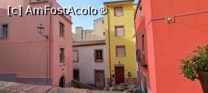 [P04] Case colorate în Bosa » foto by irinad
 - 
<span class="allrVoted glyphicon glyphicon-heart hidden" id="av1406295"></span>
<a class="m-l-10 hidden" id="sv1406295" onclick="voting_Foto_DelVot(,1406295,5799)" role="button">șterge vot <span class="glyphicon glyphicon-remove"></span></a>
<a id="v91406295" class=" c-red"  onclick="voting_Foto_SetVot(1406295)" role="button"><span class="glyphicon glyphicon-heart-empty"></span> <b>LIKE</b> = Votează poza</a> <img class="hidden"  id="f1406295W9" src="/imagini/loader.gif" border="0" /><span class="AjErrMes hidden" id="e1406295ErM"></span>
