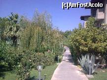 [P35] Detaliu parc hotel » foto by Aeerdna*
 - 
<span class="allrVoted glyphicon glyphicon-heart hidden" id="av266192"></span>
<a class="m-l-10 hidden" id="sv266192" onclick="voting_Foto_DelVot(,266192,5803)" role="button">șterge vot <span class="glyphicon glyphicon-remove"></span></a>
<a id="v9266192" class=" c-red"  onclick="voting_Foto_SetVot(266192)" role="button"><span class="glyphicon glyphicon-heart-empty"></span> <b>LIKE</b> = Votează poza</a> <img class="hidden"  id="f266192W9" src="/imagini/loader.gif" border="0" /><span class="AjErrMes hidden" id="e266192ErM"></span>