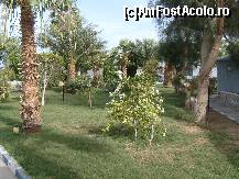 [P07] gradina comfort/beach » foto by radu123
 - 
<span class="allrVoted glyphicon glyphicon-heart hidden" id="av76377"></span>
<a class="m-l-10 hidden" id="sv76377" onclick="voting_Foto_DelVot(,76377,5805)" role="button">șterge vot <span class="glyphicon glyphicon-remove"></span></a>
<a id="v976377" class=" c-red"  onclick="voting_Foto_SetVot(76377)" role="button"><span class="glyphicon glyphicon-heart-empty"></span> <b>LIKE</b> = Votează poza</a> <img class="hidden"  id="f76377W9" src="/imagini/loader.gif" border="0" /><span class="AjErrMes hidden" id="e76377ErM"></span>