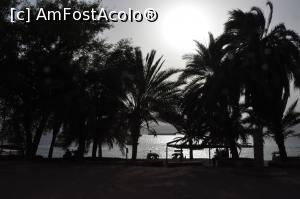 [P19] prea frumos peisajul ca sa nu il impartasesc cu dumneavoastra in incercarea de a va convinge sa vizitati Iordania si Aqaba » foto by alunelu69
 - 
<span class="allrVoted glyphicon glyphicon-heart hidden" id="av951414"></span>
<a class="m-l-10 hidden" id="sv951414" onclick="voting_Foto_DelVot(,951414,5806)" role="button">șterge vot <span class="glyphicon glyphicon-remove"></span></a>
<a id="v9951414" class=" c-red"  onclick="voting_Foto_SetVot(951414)" role="button"><span class="glyphicon glyphicon-heart-empty"></span> <b>LIKE</b> = Votează poza</a> <img class="hidden"  id="f951414W9" src="/imagini/loader.gif" border="0" /><span class="AjErrMes hidden" id="e951414ErM"></span>