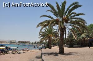 [P06] peisaj exotic al plajei publice din Aqaba » foto by alunelu69
 - 
<span class="allrVoted glyphicon glyphicon-heart hidden" id="av951385"></span>
<a class="m-l-10 hidden" id="sv951385" onclick="voting_Foto_DelVot(,951385,5806)" role="button">șterge vot <span class="glyphicon glyphicon-remove"></span></a>
<a id="v9951385" class=" c-red"  onclick="voting_Foto_SetVot(951385)" role="button"><span class="glyphicon glyphicon-heart-empty"></span> <b>LIKE</b> = Votează poza</a> <img class="hidden"  id="f951385W9" src="/imagini/loader.gif" border="0" /><span class="AjErrMes hidden" id="e951385ErM"></span>
