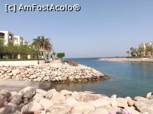 [P09] La pas prin Tala Bay - intrarea în port » foto by nicole33
 - 
<span class="allrVoted glyphicon glyphicon-heart hidden" id="av956104"></span>
<a class="m-l-10 hidden" id="sv956104" onclick="voting_Foto_DelVot(,956104,5806)" role="button">șterge vot <span class="glyphicon glyphicon-remove"></span></a>
<a id="v9956104" class=" c-red"  onclick="voting_Foto_SetVot(956104)" role="button"><span class="glyphicon glyphicon-heart-empty"></span> <b>LIKE</b> = Votează poza</a> <img class="hidden"  id="f956104W9" src="/imagini/loader.gif" border="0" /><span class="AjErrMes hidden" id="e956104ErM"></span>