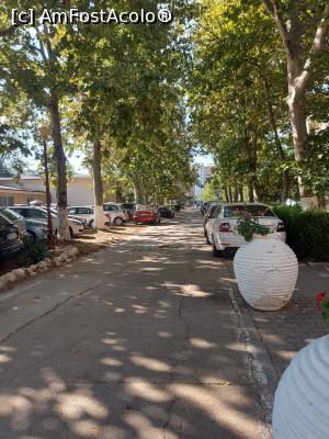 [P07]  -- <small>// FĂRĂ DESCRIERE</small> » foto by comisarul
 - 
<span class="allrVoted glyphicon glyphicon-heart hidden" id="av1255816"></span>
<a class="m-l-10 hidden" id="sv1255816" onclick="voting_Foto_DelVot(,1255816,5809)" role="button">șterge vot <span class="glyphicon glyphicon-remove"></span></a>
<a id="v91255816" class=" c-red"  onclick="voting_Foto_SetVot(1255816)" role="button"><span class="glyphicon glyphicon-heart-empty"></span> <b>LIKE</b> = Votează poza</a> <img class="hidden"  id="f1255816W9" src="/imagini/loader.gif" border="0" /><span class="AjErrMes hidden" id="e1255816ErM"></span>