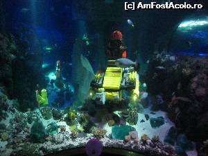 [P36] Legoland Atlantis Sea Life » foto by ariciu*
 - 
<span class="allrVoted glyphicon glyphicon-heart hidden" id="av609925"></span>
<a class="m-l-10 hidden" id="sv609925" onclick="voting_Foto_DelVot(,609925,5812)" role="button">șterge vot <span class="glyphicon glyphicon-remove"></span></a>
<a id="v9609925" class=" c-red"  onclick="voting_Foto_SetVot(609925)" role="button"><span class="glyphicon glyphicon-heart-empty"></span> <b>LIKE</b> = Votează poza</a> <img class="hidden"  id="f609925W9" src="/imagini/loader.gif" border="0" /><span class="AjErrMes hidden" id="e609925ErM"></span>