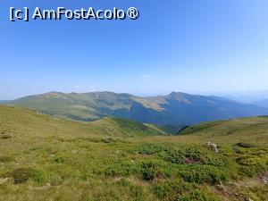 [P04] Pe platoul alpin, din șaua Laptelui. » foto by Radix7
 - 
<span class="allrVoted glyphicon glyphicon-heart hidden" id="av1492856"></span>
<a class="m-l-10 hidden" id="sv1492856" onclick="voting_Foto_DelVot(,1492856,5815)" role="button">șterge vot <span class="glyphicon glyphicon-remove"></span></a>
<a id="v91492856" class=" c-red"  onclick="voting_Foto_SetVot(1492856)" role="button"><span class="glyphicon glyphicon-heart-empty"></span> <b>LIKE</b> = Votează poza</a> <img class="hidden"  id="f1492856W9" src="/imagini/loader.gif" border="0" /><span class="AjErrMes hidden" id="e1492856ErM"></span>