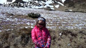 [P04] campuri de branduse ne-au insotit pana la lacul glaciar Stiol » foto by raducondurache
 - 
<span class="allrVoted glyphicon glyphicon-heart hidden" id="av736205"></span>
<a class="m-l-10 hidden" id="sv736205" onclick="voting_Foto_DelVot(,736205,5815)" role="button">șterge vot <span class="glyphicon glyphicon-remove"></span></a>
<a id="v9736205" class=" c-red"  onclick="voting_Foto_SetVot(736205)" role="button"><span class="glyphicon glyphicon-heart-empty"></span> <b>LIKE</b> = Votează poza</a> <img class="hidden"  id="f736205W9" src="/imagini/loader.gif" border="0" /><span class="AjErrMes hidden" id="e736205ErM"></span>
